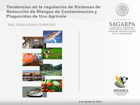 Tendencias en la regulación de Sistemas de Reducción de Riesgos de Contaminación y Plaguicidas de Uso Agrícola 4 de octubre de 2013 BIOL. ALMA LILIANA.