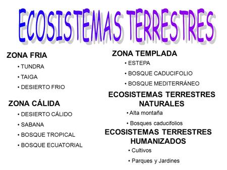 ECOSISTEMAS TERRESTRES NATURALES ECOSISTEMAS TERRESTRES HUMANIZADOS