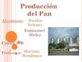 En la producción de pan la materia prima vital es el trigo, el trigo pertenece a la familia de las gramíneas. Para el cultivo del trigo es necesario tener.