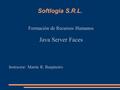 Softlogia S.R.L. Formación de Recursos Humanos Java Server Faces Instructor: Martin R. Baspineiro.
