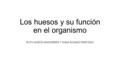 Los huesos y su función en el organismo RUTH GARCÍA MADORRÁN Y TANIA ÁLVAREZ PANTIOSO.