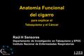 Línica para C Dejar de Fumar Anatomía Funcional del cigarro para explicar el Tabaquismo y el Cáncer Raúl H Sansores Departamento de Investigación en Tabaquismo.