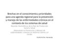 Brechas en el conocimiento y prioridades para una agenda regional para la prevención y manejo de las enfermedades crónicas en el contexto de los sistemas.