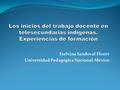 Etelvina Sandoval Flores Universidad Pedagógica Nacional-México.