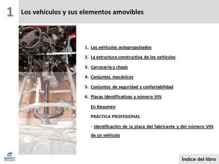 Los vehículos y sus elementos amovibles