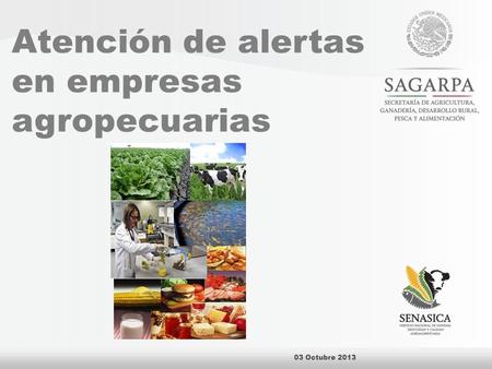 Atención de alertas en empresas agropecuarias 03 Octubre 2013.