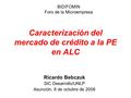 Caracterización del mercado de crédito a la PE en ALC Ricardo Bebczuk SIC Desarrollo/UNLP Asunción, 8 de octubre de 2008 BID/FOMIN Foro de la Microempresa.