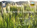 Servicio Agrícola y Ganadero Integrantes: Fernanda Camus A. Nils Dreyer Z. Matías García C. Valentina García R. Francisca Poblete R. Marcelo Villca F.