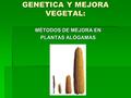 GENETICA Y MEJORA VEGETAL: