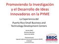 Promoviendo la Investigación y el Desarrollo de Ideas Innovadoras en la PYME La Experiencia del Puerto Rico Small Business and Technology Development Centers.