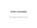 TEMA 3:ÁLGEBRA Mª Ángeles Meneses Chaus. ÍNDICE 1.- Factorización de polinomios 2.- Fracciones algebraicas 3.- Resolución de ecuaciones: Ecuaciones de.