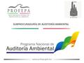 Www.profepa.gob.mx SUBPROCURADURÍA DE AUDITORÍA AMBIENTAL.