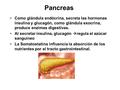 Pancreas Como glándula endócrina, secreta las hormonas insulina y glucagón, como glándula exocrina, produce enzimas digestivas. Al secretar insulina,
