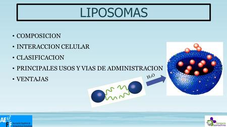 LIPOSOMAS COMPOSICION INTERACCION CELULAR CLASIFICACION