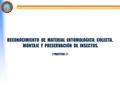 RECONOCIMIENTO DE MATERIAL ENTOMOLOGICO, COLECTA,