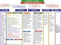 ASAMBLEA PLAN DE ACCIÓN AUTONOMÍA PROCESOS COGNITIVOSLENGUAJE AFECTIVIDAD Se realizaron carteles para nominar todos los objetos utilizados en clase, en.
