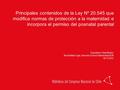Principales contenidos de la Ley Nº 20.545 que modifica normas de protección a la maternidad e incorpora el permiso del posnatal parental Expositores:
