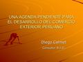 UNA AGENDA PENDIENTE PARA EL DESARROLLO DEL COMERCIO EXTERIOR PERUANO Diego Calmet Consultor B.I.D.