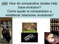 AIM: How do comparative studies help trace evolution? Como ayuda la comparacion a establecer relaciones evolutivas?