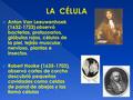  Anton Van Leeuwenhoek (1632-1723) observó bacterias, protozoarios, glóbulos rojos, células de la piel, tejido muscular, nervioso, plantas e insectos.