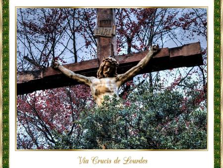 Nos ponemos en Presencia de Dios mientras meditamos este vía crucis para que su Espíritu renueve nuestra mente y nuestro corazón y pidamos la gracia de.