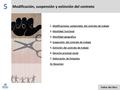 Modificación, suspensión y extinción del contrato 5 Índice del libro 1. Modificaciones sustanciales del contrato de trabajoModificaciones sustanciales.