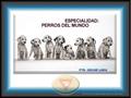 Ptr. Oscar Lara Reservados todos los derechos