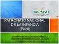 PATRONATO NACIONAL DE LA INFANCIA (PANI) PLAN PARA ESTABLECER UN PACTO FISCAL Y MEDIDAS DE EMERGENCIA PARA LA MEJORA Y EFICACIA DE LA GESTIÓN PUBLICA.