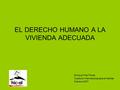 EL DERECHO HUMANO A LA VIVIENDA ADECUADA Enrique Ortiz Flores Coalición Internacional para el Hábitat Febrero 2007.