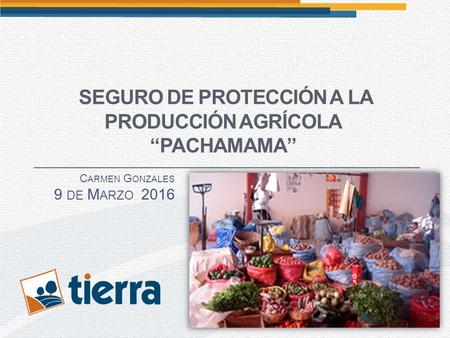SEGURO DE PROTECCIÓN A LA PRODUCCIÓN AGRÍCOLA “PACHAMAMA” C ARMEN G ONZALES 9 DE M ARZO 2016.