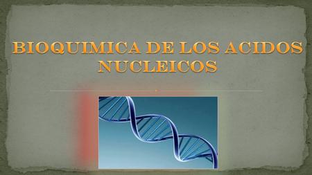 Los ácidos nucleicos son grandes polímeros formados por la repetición de monómeros denominados nucleótidos.