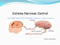 Sistema Nervioso Central