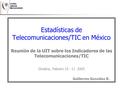 Estadísticas de Telecomunicaciones/TIC en México Reunión de la UIT sobre los Indicadores de las Telecomunicaciones/TIC Ginebra, Febrero 10 - 11 2005 Guillermo.