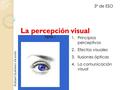 La percepción visual 3º de ESO Principios perceptivos Efectos visuales