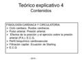 Teórico explicativo 4 Contenidos