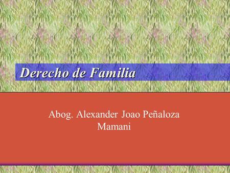 Derecho de Familia Abog. Alexander Joao Peñaloza Mamani.