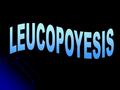 LA MIELOPOYESIS NORMAL ES INDISPENSABLE PARA LA DEFENSA COMUN DEL HUESPED. IMPLICA LA PRODUCCION REGULADA DE NUEVAS CELULAS ES ESTIMULADA Y REGULADA POR.