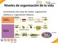 Niveles de organización de la vida