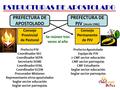 ESTRUCTURAS DE APOSTOLADO PREFECTURA DE APOSTOLADO PREFECTURA DE PJV [desde 1986] Consejo Provincial de Pastoral Consejo Permanente de PJV Prefecto PJV.