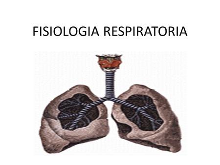FISIOLOGIA RESPIRATORIA. Contenidos Respiración, generalidades. Volúmenes y capacidades pulmonares, medición. Ruidos respiratorios normales. Espirometria.