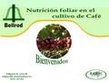 Nutrición foliar en el cultivo de Café Bienvenidos Edgard A. Lira M edgard8_lira@yahoo.es 622-6730.