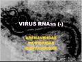 VIRUS RNAss (-) ARENAVIRIDAEFILOVIRIDAEBUNYAVIRIDAE.