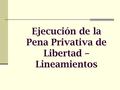 Ejecución de la Pena Privativa de Libertad – Lineamientos.