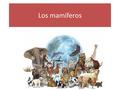 Los mamíferos.