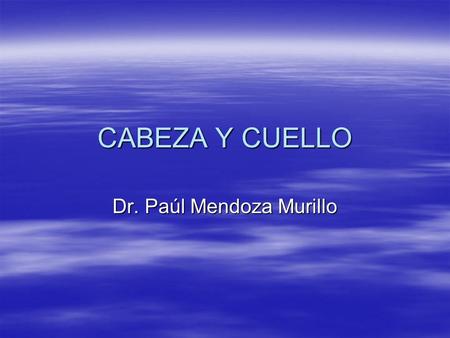 Dr. Paúl Mendoza Murillo