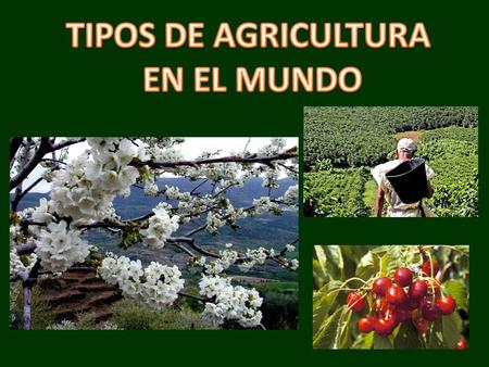 TIPOS DE AGRICULTURA EN EL MUNDO.