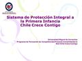 Sistema de Protección Integral a la Primera Infancia Chile Crece Contigo Universidad Miguel de Cervantes Programa de Formación de Competencias Proyecto.