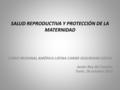 SALUD REPRODUCTIVA Y PROTECCIÓN DE LA MATERNIDAD CURSO REGIONAL AMÉRICA LATINA CARIBE SEGURIDAD SOCIAL Javier Rey del Castillo Turín, 18 octubre 2010.