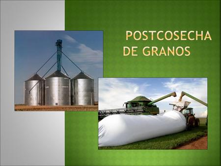 Postcosecha de Granos.