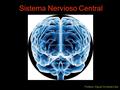 Sistema Nervioso Central Profesor: Miguel Contreras Veliz.